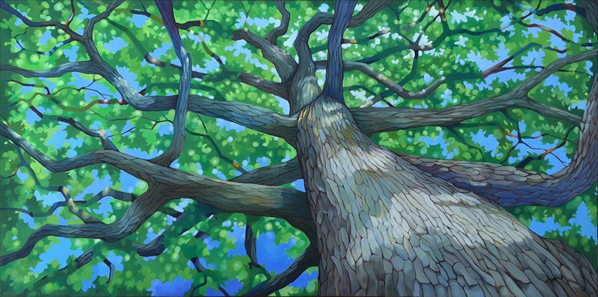 oil painting oak tree